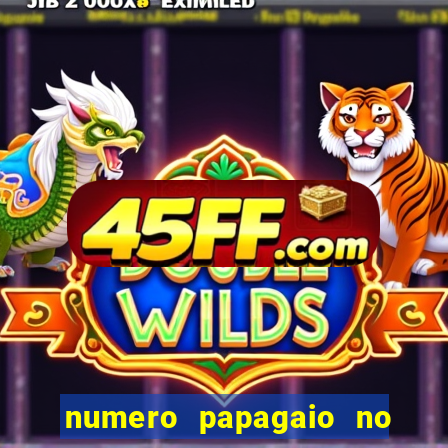 numero papagaio no jogo do bicho